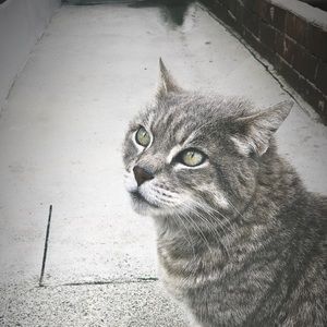 Meet your Posher, Christian